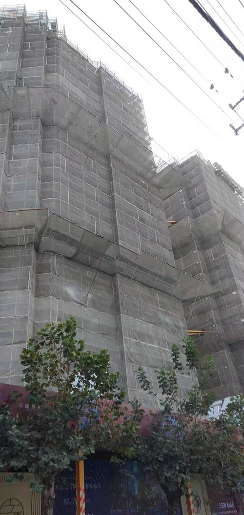 建筑建材企業商情 洞察市場脈搏，把握發展機遇